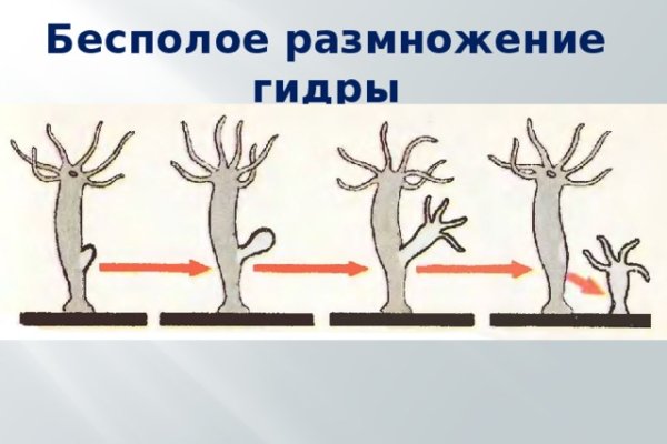 Кракен магазин наркоты