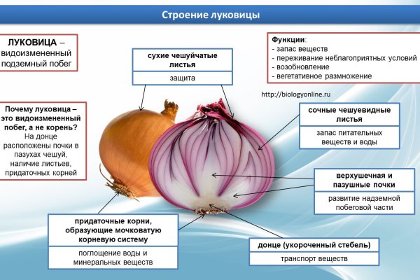 Кракен 17 af