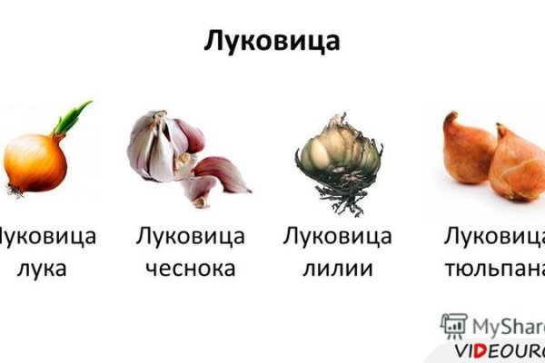 Kraken darknet ссылка