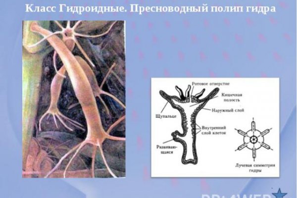 Кракен даркнет ссылка зеркало